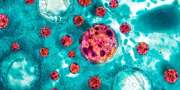 Cofepris activa vigilancia epidemiológica en México por 33 casos de Cyclospora