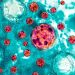 Cofepris activa vigilancia epidemiológica en México por 33 casos de Cyclospora