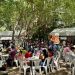 Invita Comalcalco al 3er. Festival del Marisco «Raíces del Corinto 2026»
