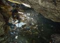 Alerta por presencia de agua contaminada en Quintana Roo y Yucatán; inician muestreos en 30 comunidades