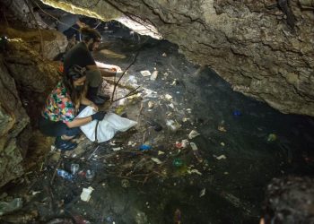 Alerta por presencia de agua contaminada en Quintana Roo y Yucatán; inician muestreos en 30 comunidades