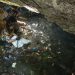 Alerta por presencia de agua contaminada en Quintana Roo y Yucatán; inician muestreos en 30 comunidades