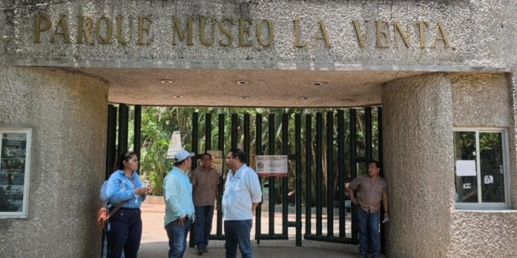 Parque-Museo La Venta actualizará inventario de más de 200 ejemplares tras avance del 50 % en rehabilitación
