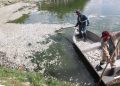 Retiran alrededor de 10 toneladas de peces muertos en la Laguna de las Ilusiones