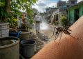 Quintana Roo acumula 118 casos de dengue en lo que va de 2026; la zona sur concentra el 41% de los contagios