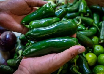 Cofepris descarta presencia de salmonela en empacadora de chiles jalapeños de Nuevo León
