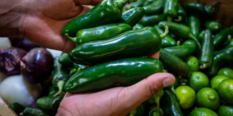 Cofepris descarta presencia de salmonela en empacadora de chiles jalapeños de Nuevo León