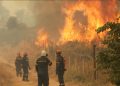 Ola de incendios forestales azota al Reino Unido en medio de una histórica ola de calor