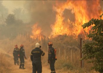 Ola de incendios forestales azota al Reino Unido en medio de una histórica ola de calor