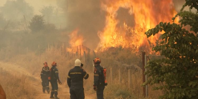 Ola de incendios forestales azota al Reino Unido en medio de una histórica ola de calor