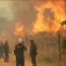 Ola de incendios forestales azota al Reino Unido en medio de una histórica ola de calor