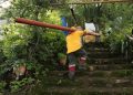 Refuerzan SEDEMA, SEGIAGUA y Alcaldía Xochimilco acciones para proteger la zona lacustre