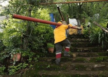 Refuerzan SEDEMA, SEGIAGUA y Alcaldía Xochimilco acciones para proteger la zona lacustre