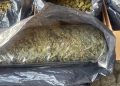 FGR asegura 300 kilos de presunta marihuana y detiene a un implicado en Huimanguillo