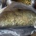FGR asegura 300 kilos de presunta marihuana y detiene a un implicado en Huimanguillo