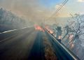 Incendio consume amplia extensión de manglar en las inmediaciones de Kobén, Campeche