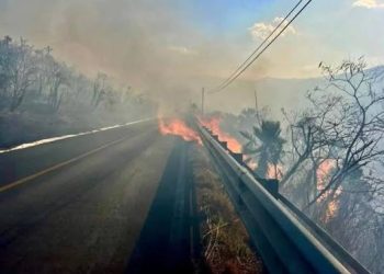 Incendio consume amplia extensión de manglar en las inmediaciones de Kobén, Campeche