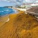 Cancún proyecta alcanzar 30 mil toneladas de sargazo recolectado al cierre de agosto