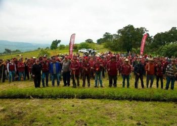 SEDEMA fortalece la restauración ecológica en las faldas del volcán Teuhtli
