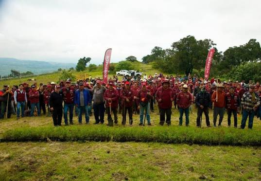 SEDEMA fortalece la restauración ecológica en las faldas del volcán Teuhtli