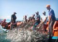 Pescadores blindarán reserva en Campeche