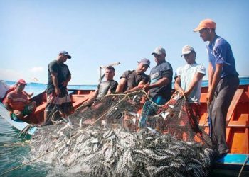 Pescadores blindarán reserva en Campeche