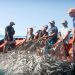 Pescadores blindarán reserva en Campeche