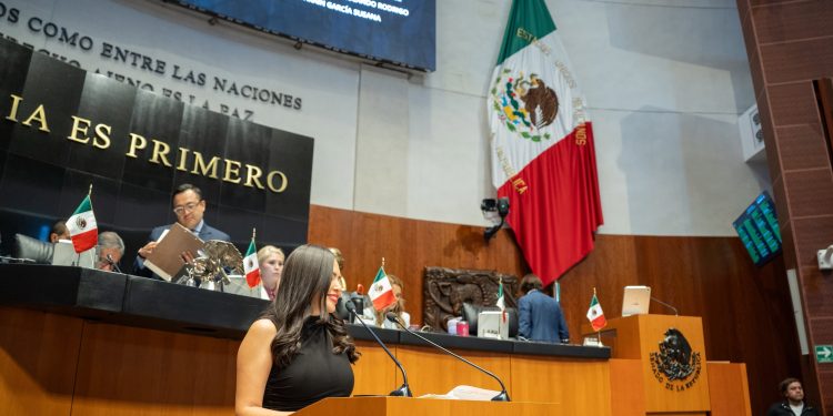Aprobaron en el Senado iniciativa impulsada por Anahí González para garantizar la igualdad de mujeres indígenas y afromexicanas