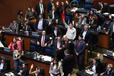 Senado inicia debate para sancionar hasta con siete años de cárcel el uso no autorizado de la identidad gráfica gubernamental