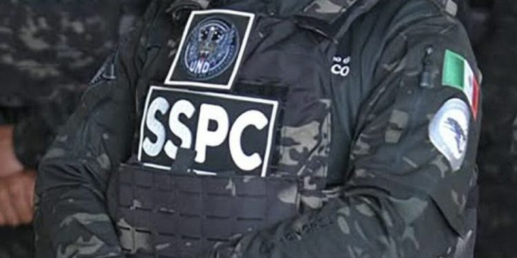 Asesinan a elemento de la Guardia Nacional en Guerrero; Sedena despliega operativo y detiene a 16 presuntos integrantes de «Los Ardillos»