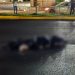 Peatón fallece tras ser arrollado en el bulevar Luis Donaldo Colosio de Cancún