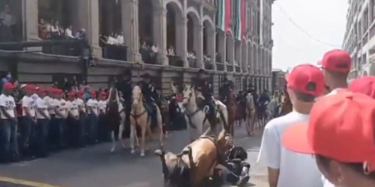 Un agente de la policía montada resulta lesionado tras caída de su caballo durante el desfile en Cuernavaca