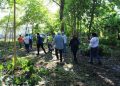 Anuncian jornada para reforestar 240 hectáreas en Tabasco durante el mes de octubre