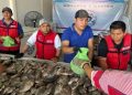 El programa ‘Pescando Vida’ comercializa más de 3 mil toneladas de mojarra producida en Tabasco