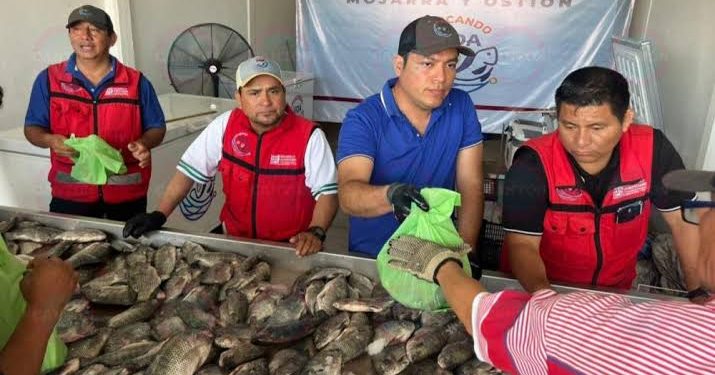 El programa ‘Pescando Vida’ comercializa más de 3 mil toneladas de mojarra producida en Tabasco