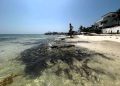 Semarnat autoriza proyecto privado de restauración costera por 236 MDP en Playa del Carmen
