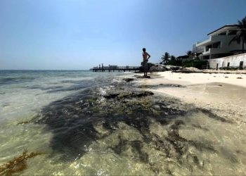 Semarnat autoriza proyecto privado de restauración costera por 236 MDP en Playa del Carmen