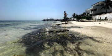 Semarnat autoriza proyecto privado de restauración costera por 236 MDP en Playa del Carmen
