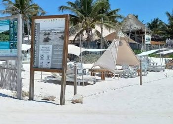 Hoteleros de Tulum solicitan reestructuración financiera ante caída de ocupación al 15 %