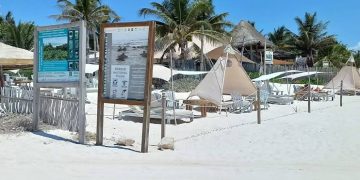 Hoteleros de Tulum solicitan reestructuración financiera ante caída de ocupación al 15 %