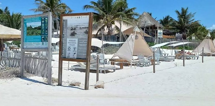 Hoteleros de Tulum solicitan reestructuración financiera ante caída de ocupación al 15 %