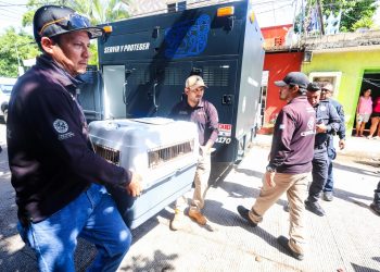 Estefanía Mercado encabeza operativo de rescate de ocho caninos en situación vulnerable