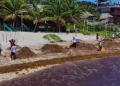 Zofemat Tulum mantiene operativos permanentes de limpieza en la franja costera