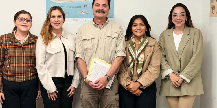 ¿La gran traición a Isla Mujeres? Atenea Gómez entrega el gobierno a extranjeros e ignora al talento local