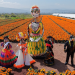 Producción de Cempasúchil rompe Récord con 10 Millones de Plantas; Anuncia Clara Brugada Ofrenda, Catrina Monumental, Desfile de Muertos y Paseo Luminoso en Reforma