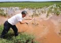 Tormenta devasta 160 hectáreas de maíz y anega viviendas en Yaxché Akal, Campeche
