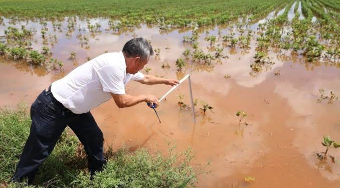 Tormenta devasta 160 hectáreas de maíz y anega viviendas en Yaxché Akal, Campeche