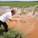 Tormenta devasta 160 hectáreas de maíz y anega viviendas en Yaxché Akal, Campeche