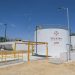 Yucatán fortalece la protección de su acuífero con cuatro acciones clave para la regulación y ordenamiento del sector porcícola
