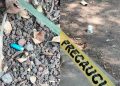 Investiga la FGJ-CDMX presunto envenenamiento masivo de perros en el Parque España